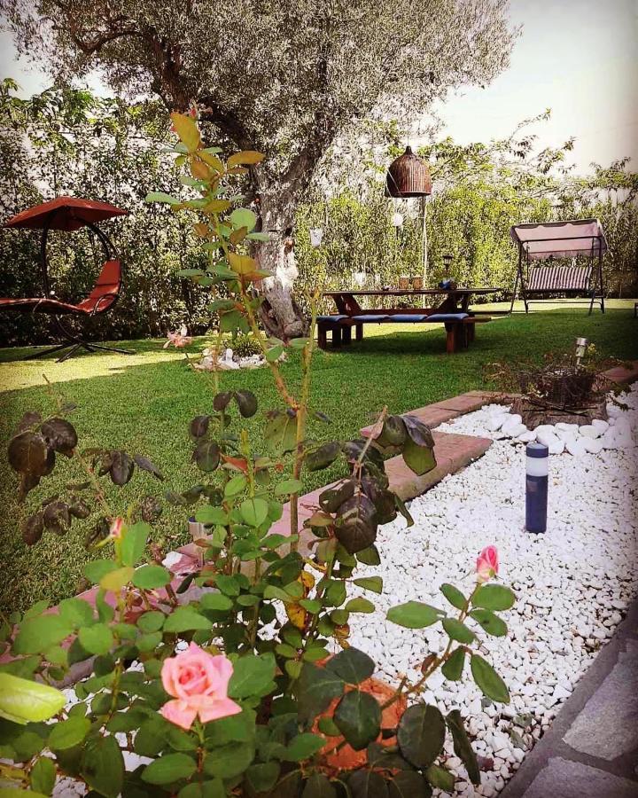 Vintage Home นิกิติ ภายนอก รูปภาพ